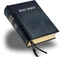 Read the Bible