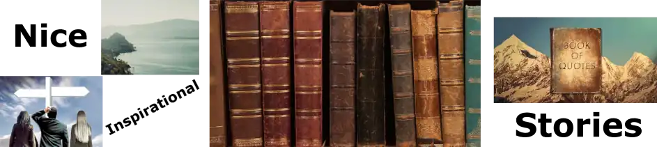 Nice Stories Page Banner